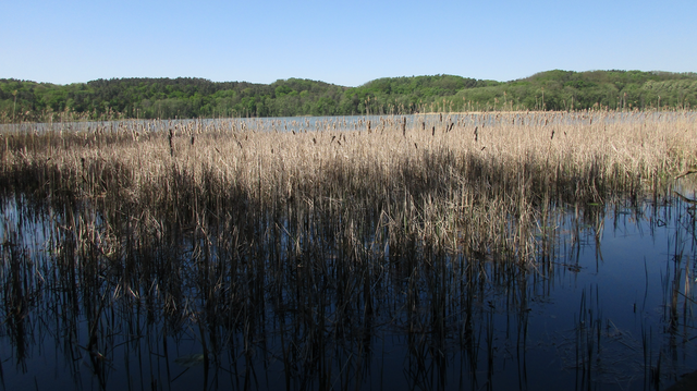Blick über den Schermützelsee